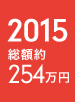 2015年 総額約254万円